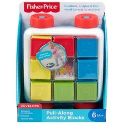 Fisher Price Pull-Along Activity Blocks Numbers Shapes